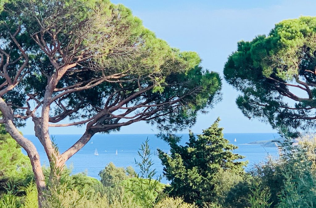 terrasses fleuries